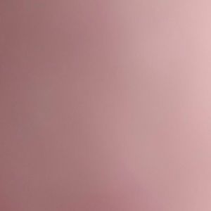 Meet your Posher, Cheyenne